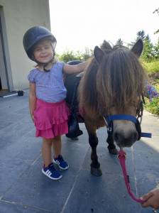 2 minis poneys habitués aux enfants