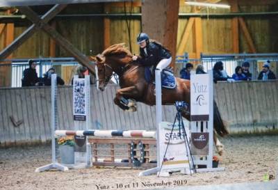 Ponette d cso/dressage 