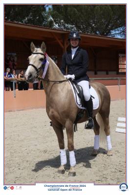 Poney gp dressage à vendre