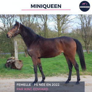 Miniqueen - ps - 3 ans