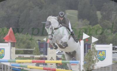 Magnifique hongre 
