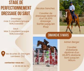 Stage Cso ou Dressage 