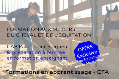 Formation cap palefrenier soigneur