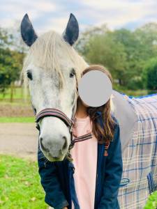 Poney d 6 ans de cso à vendre