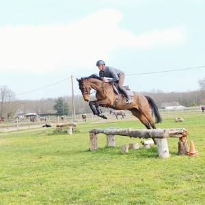 Top cheval de loisir, orientation cso cce
