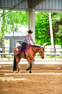 Appaloosa plein papiers