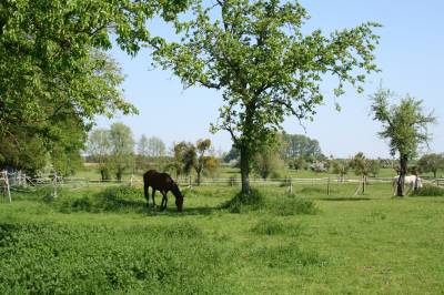 Maison et 1,5 ha près  foret de mormal nord 