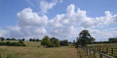 Haras avec hectares