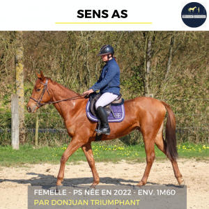 Sens as - ps - 3 ans