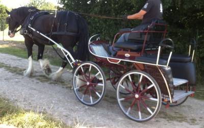 Voiture d’attelage marathon