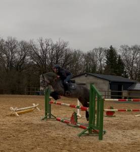 Super poney onc 