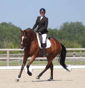 Jument - 8 ans - for romance ii/ houston - dressage 