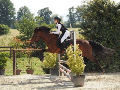Pony salto ostacoli 