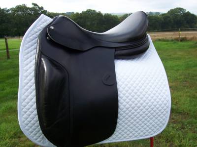 Amerigo vega selle de dressage