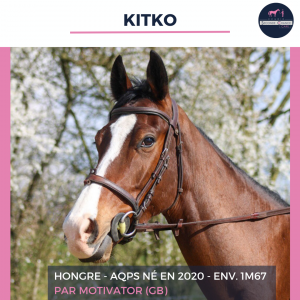 Kitko - aqps - 5 ans