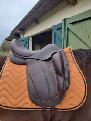 Selle de dressage forestier, neuve