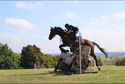 Cavallo in vendita