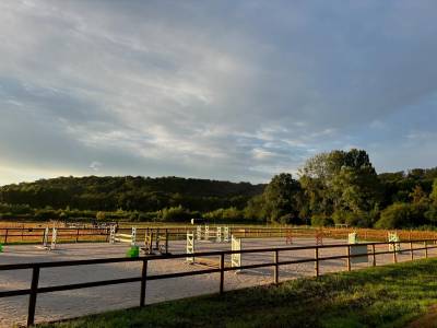 Pension chevaux