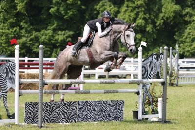 Hongre de 10 ans par urano de cartigny