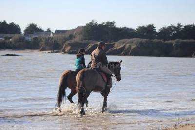 Centro di stagione cavallo in vendita morbihan