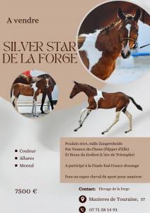 Silver star de la forge z 