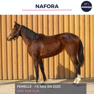 Nafora - aqps - 2 ans