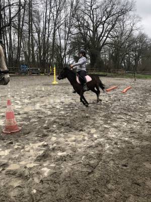 Ponette welch pp 6 ans