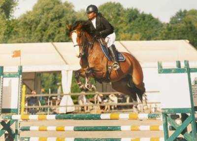 Vente cheval ( sbs) - hongre - 8 ans 