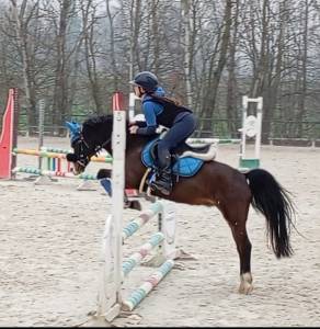 Pony da salto