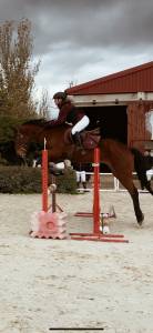 Busco caballo para compartir