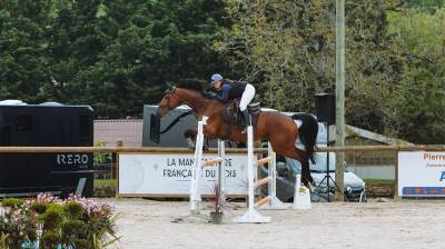 Jument cso / dressage