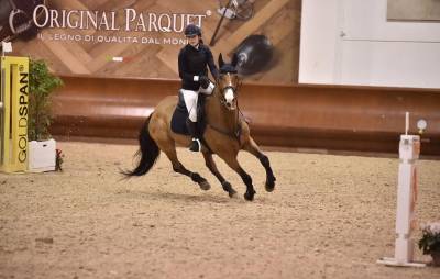 Cavallo fabolous h.s.