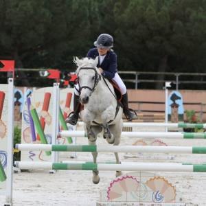 Poney de sport à vendre 