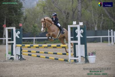 Pony super