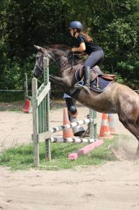 Ponette pre, 146cm, 4 ans