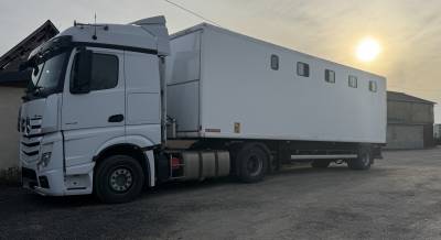 Camion semi-remorque chevaux 