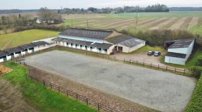 écurie de 8,5ha au coeur du perche manège-carrière-21bo