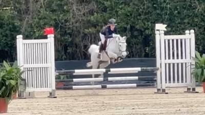 Bravissima pony