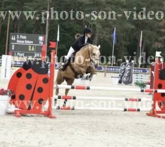 Ponette pfs 