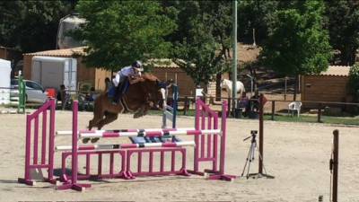 Vendita pony Francese 