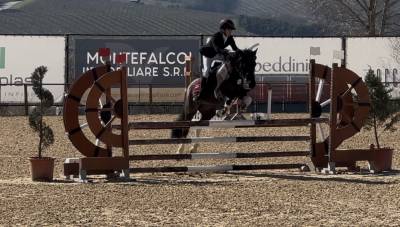 Pony femmina del 2015