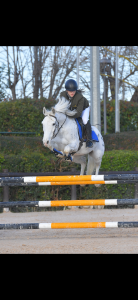Pony sportivo 6 anni