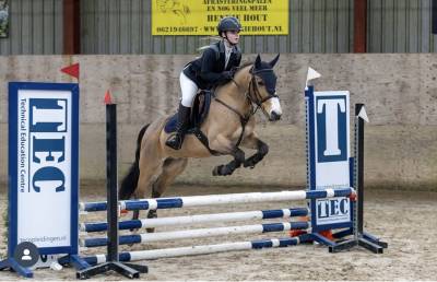 Pony da salto/cross