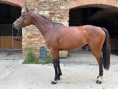 Milton d'hop 3 ans