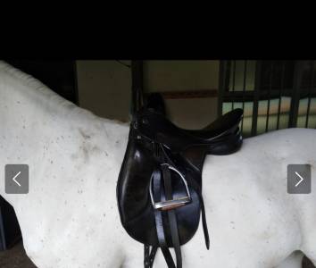 Sella dressage kieffer