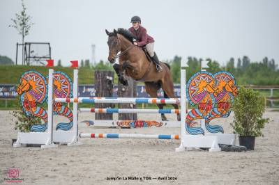 Hongre 11 ans par jarnac 