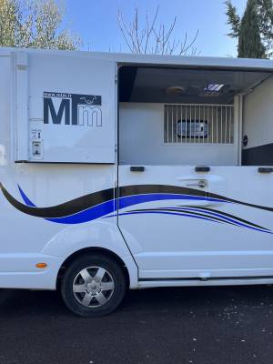 Van per cavalli renault filovan master  2018 occasione