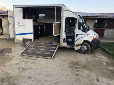 Master 2003 2 cv 12 000 euros