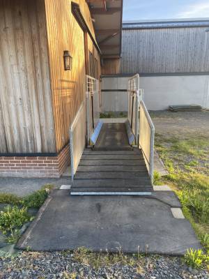 Tapis horse gym 2000 s3