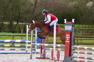 Poney de sport d'avenir à vendre